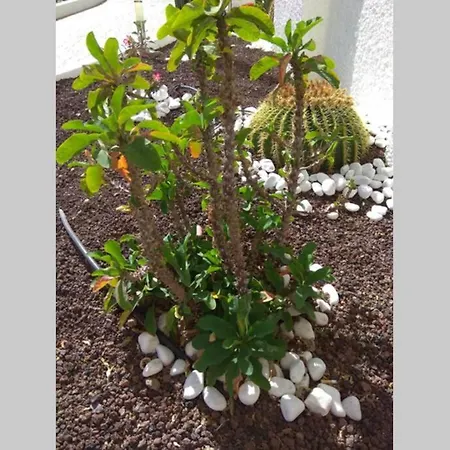 Tucan With Beautiful Views Near Dunes, Fast Fiber Wifi *