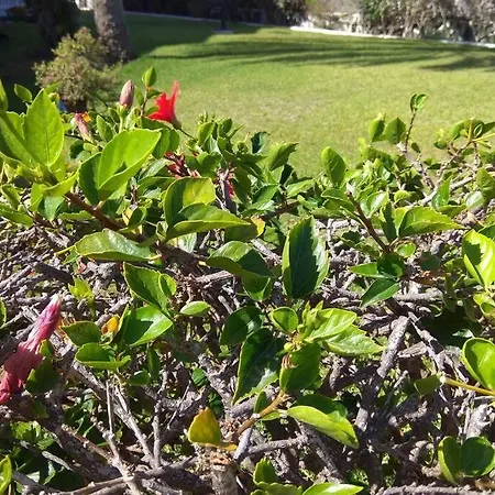 דירה Tucan With Beautiful Views Near Dunes, Fast Fiber Wifi